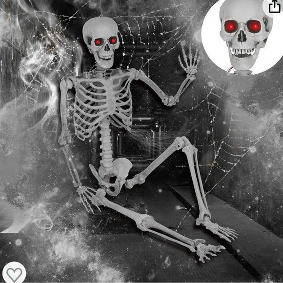Posable Life-Size Halloween Skeleton, 5' life size shipping cost varies - Picture 4 of 4